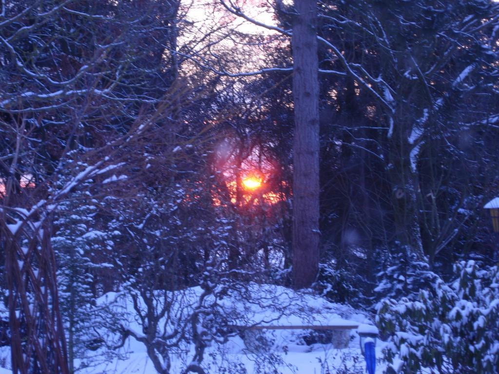 Heddahgaarden Panzió Bredal Kültér fotó